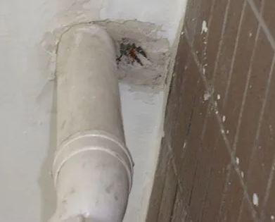 阜城漏水检测哪家好